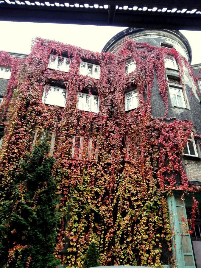 Bristol Economy Bed & Breakfast Bytom Luaran gambar